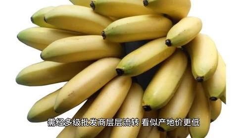 国产吃瓜婊 第2页