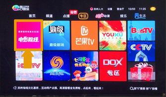 国产视频影院,国产视频影院的璀璨星空